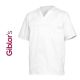 Casacca Chirurgo Medicale Dentista Dottore Giblor's Italia Art. 10M2019