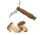 Coltello con Spazzola Raccogli Funghi Cogli Funghi Eco Idea Regalo  Art. GC-105