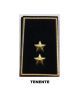 Gradi Tubolari Esercito Italiano Tenente Fondo Nero o Verde Art. NSD-TE