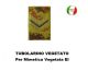 Gradi Tubolarini Vegetati Esercito Italiano Sergente Art.TUB-S