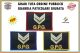 Gradi Velcro per Polo e Tuta OP GPG GPGIPS Sicurezza Vice Brigadiere Argento New Art.GPG-G5