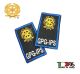 Tubolari Ricamati Bordo Azzurro GPG - GPGIPS GPG IPS REPUBBLICA® Guardie Giurate Guardia Particolare Giurata Incaricato di Pubblico Servizio Art.GPG-REP
