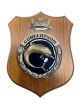 Crest COMFLTSOM M.M. COM. FORZE SUBACQUE Ufficiale Giemme cm. 24 x 18 Art. MM3065A