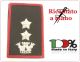 Gradi Tubolari Carabinieri Ricamati a Mano Canuttiglia New Tenente Colonnello Art.CC-CAN-18