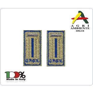Alamari Mostrine Polo con Velcro cm 2.50x5.00 Fondo Oro Scritta Blu G.P.G.V. Agri Ambiente Art.NSD-AGRI-10