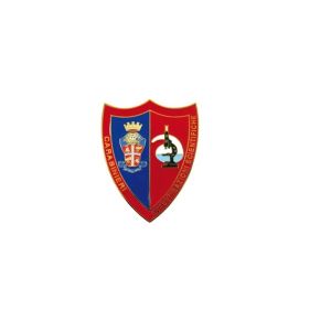 Pins Distintivo Carabinieri Investigazioni Scientifiche  RIS Prodotto Ufficiale Italiano Art. C152P