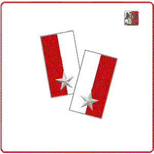 Mostrine Alamari Giacca o Camicia Esercito Italiano 151° 152° Brigata Sassari Art.NSD-BS